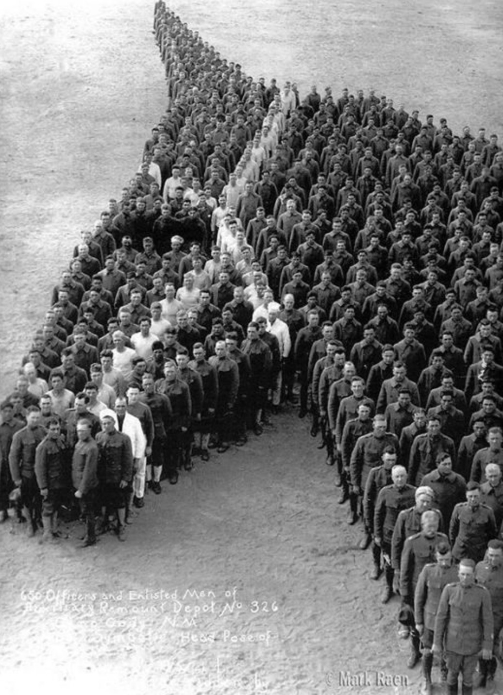 anzac day tribute - rs and Enlisted Men of Remount Depot No 326 Bees Pose of Matk Raen